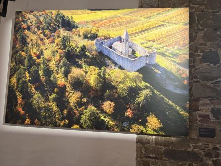 Na eni od fotografij je tudi hrastoveljska cerkev sv. Trojice.
